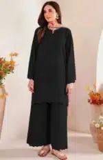 Black Dhanak 3PC Chikan Kari Embroidered