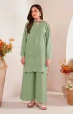 Green Dhanak 3PC Chikan Kari Embroidered