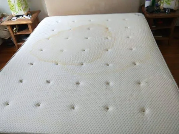 What Happens If Pee Dries in a Mattress